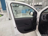  Fiat  Panda 1.0 FireFly 70cv S&S Hybrid Manual Petrol  21 #16
