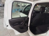  Fiat  Panda 1.0 FireFly 70cv S&S Hybrid Manual Petrol  21 #20