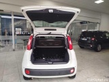  Fiat  Panda 1.0 FireFly 70cv S&S Hybrid Manual Petrol  21 #29