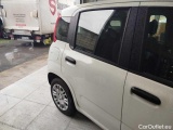  Fiat  Panda 1.0 FireFly 70cv S&S Hybrid Manual Petrol  21 #50