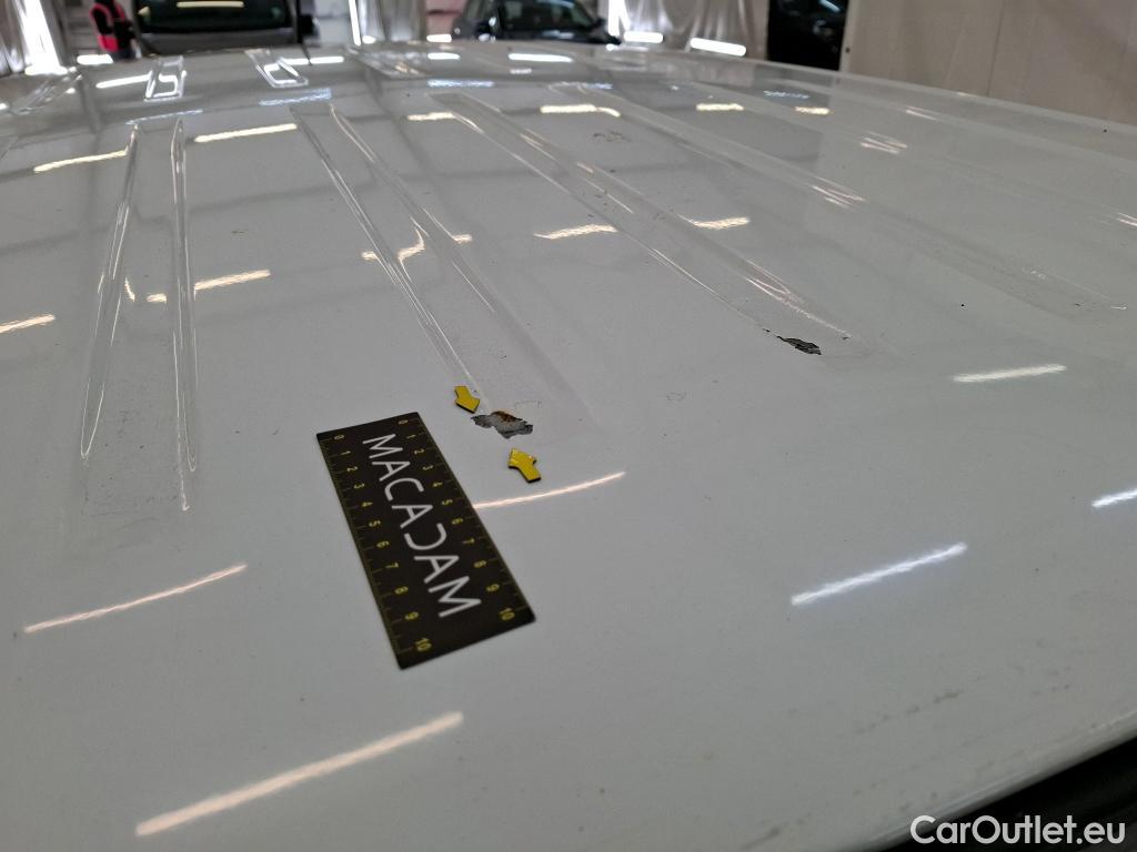  Citroen  Berlingo  Fourgon Worker M 1000 1.5 BlueHDi 130CV BVA8 E6dT #1