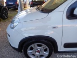  Fiat  Panda FIAT  / 2011 / 5P / BERLINA 1.0 FIREFLY 70CV SeS HYBRID CITY LIFE #69