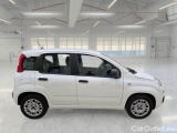  Fiat  Panda FIAT  / 2011 / 5P / BERLINA 1.2 69CV SeS E6D-TEMP EASY #7