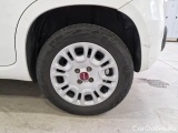  Fiat  Panda FIAT  / 2011 / 5P / BERLINA 1.2 69CV SeS E6D-TEMP EASY #19