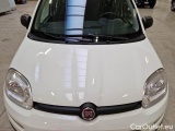  Fiat  Panda FIAT  / 2011 / 5P / BERLINA 1.2 69CV SeS E6D-TEMP EASY #24