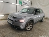 C4 Cactus