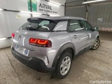 C4 Cactus
