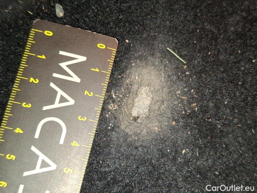  Skoda  Superb  Break Business 2.0 TDI 150CV BVA7 E6d #40