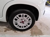  Fiat  Panda FIAT  / 2011 / 5P / BERLINA 1.2 69CV E6 EASY #20