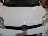  Fiat  Panda FIAT  / 2011 / 5P / BERLINA 1.2 69CV E6 EASY #28