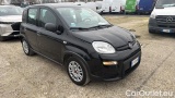  Fiat  Panda 1.0 FireFly 70cv S&S Hybrid #2
