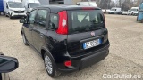  Fiat  Panda 1.0 FireFly 70cv S&S Hybrid #3