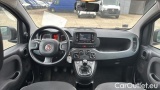  Fiat  Panda 1.0 FireFly 70cv S&S Hybrid #6