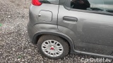  Fiat  Panda 1.0 FireFly 70cv S&S Hybrid #18