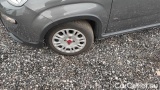  Fiat  Panda 1.0 FireFly 70cv S&S Hybrid #14