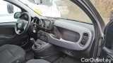 Fiat  Panda 1.0 FireFly 70cv S&S Hybrid #5