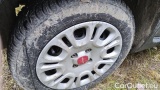  Fiat  Panda 1.0 FireFly 70cv S&S Hybrid #14