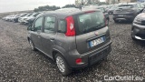  Fiat  Panda 1.0 FireFly 70cv S&S Hybrid #3