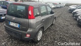  Fiat  Panda 1.0 FireFly 70cv S&S Hybrid #4