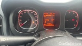  Fiat  Panda 1.0 FireFly 70cv S&S Hybrid #12