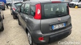 Fiat  Panda 1.0 FireFly 70cv S&S Hybrid #3