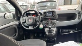  Fiat  Panda 1.0 FireFly 70cv S&S Hybrid #6