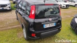  Fiat  Panda 1.0 FireFly 70cv S&S Hybrid #3
