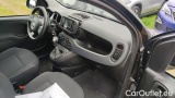  Fiat  Panda 1.0 FireFly 70cv S&S Hybrid #5