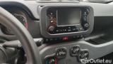  Fiat  Panda 1.0 FireFly 70cv S&S Hybrid #7