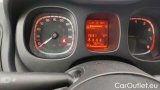  Fiat  Panda 1.0 FireFly 70cv S&S Hybrid #13