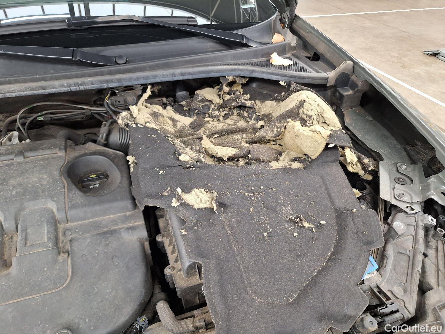  Audi  Q3 Audi,  SB '19, Audi  Sportback 35 TDI S tronic S Line Business  #25