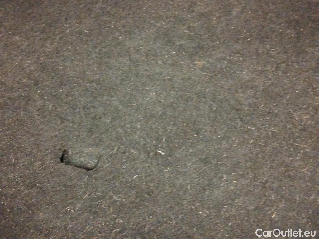  Nissan  Qashqai NISSAN  / 2021 / 5P / todoterreno DIG-T 103kW (140CV) mHEV 4x2 Acenta #7