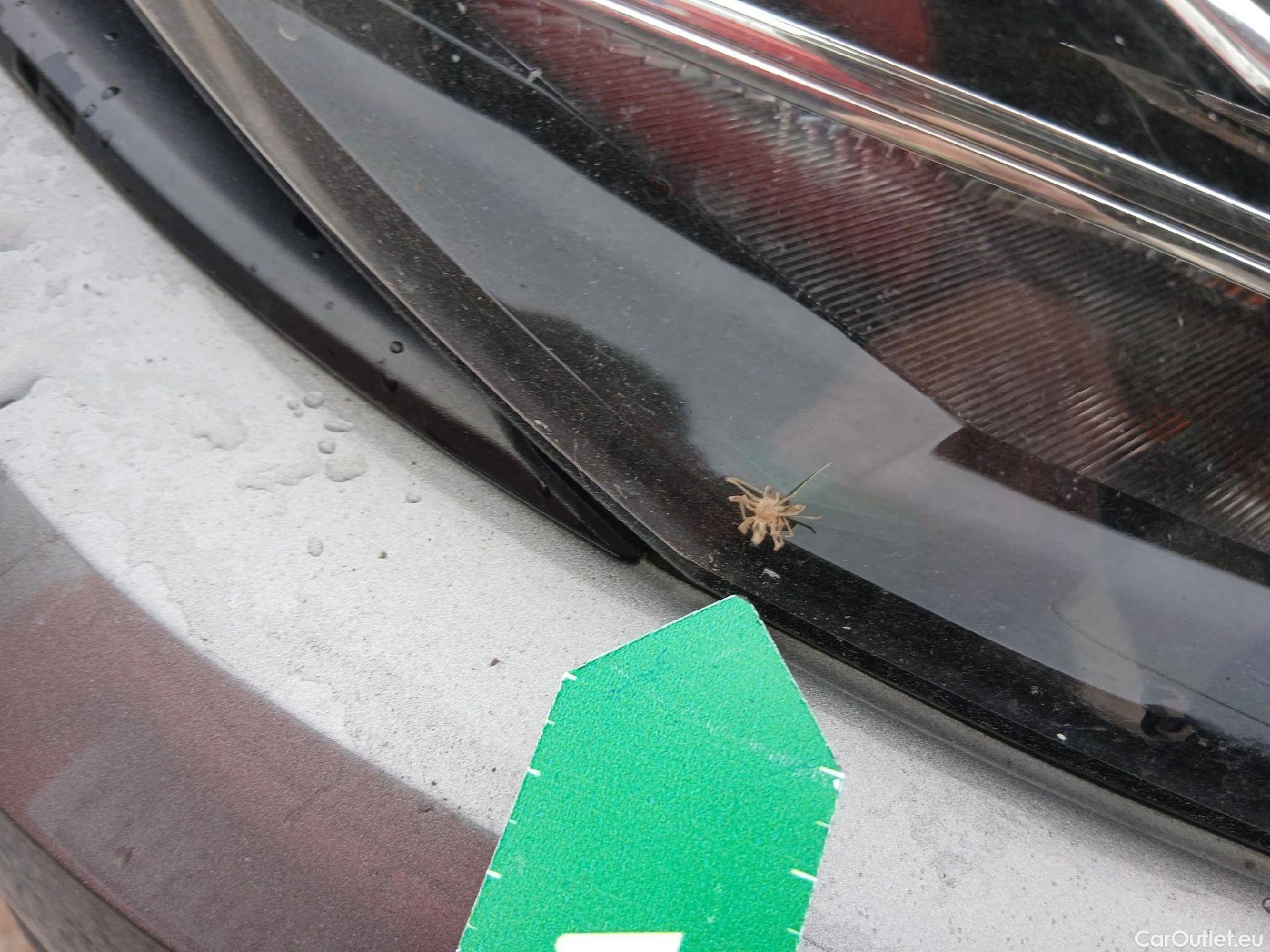  Volkswagen  Polo VOLKSWAGEN  / 2017 / 5P / berlina con portón Advance 1.0 TSI 70kW (95CV) #10