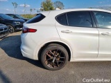  Alfa Romeo   STELVIO ALFA ROMEO / 2017 / 5P / SUV 2.2 TURBO DIESEL 210CV VELOCE TI AT8 Q4 #50