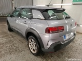 C4 Cactus