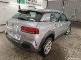 C4 Cactus