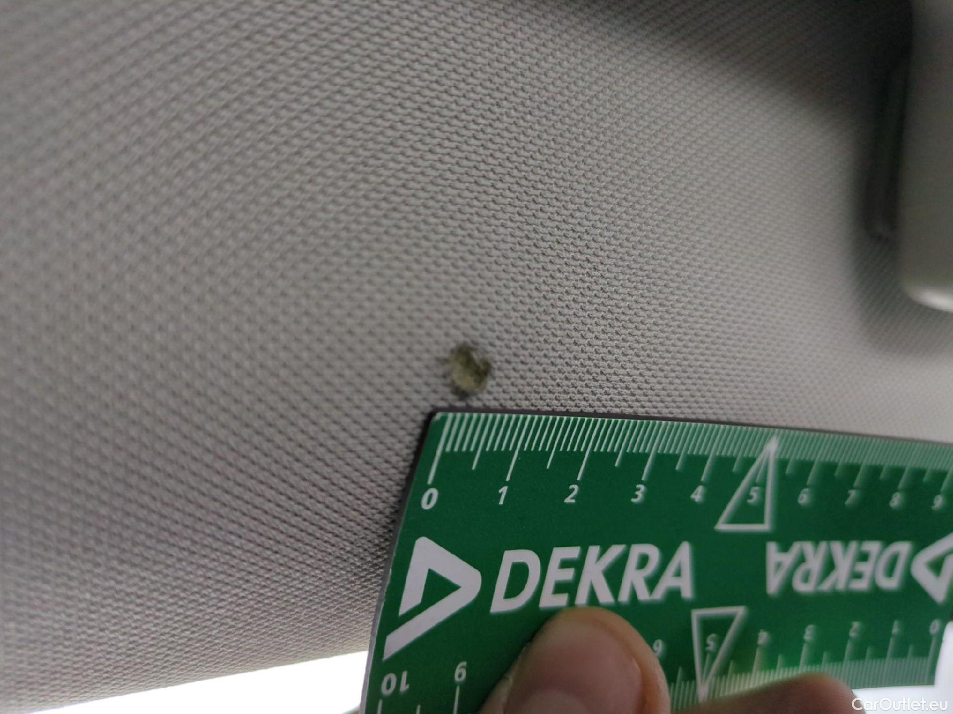  Skoda  Octavia  Break Business 2.0 TDI 115CV BVA7 E6d #9