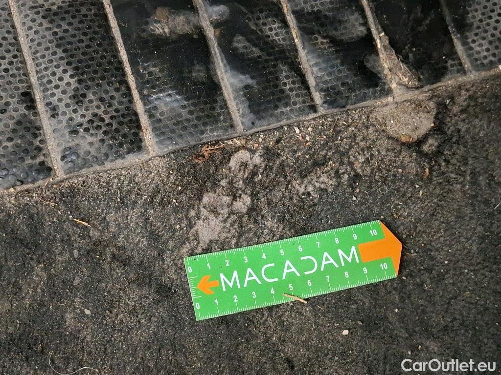  Volkswagen  Polo VOLKSWAGEN  / 2017 / 5P / Berline 1.0 TSI 95 #79