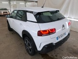 C4 Cactus