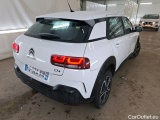 C4 Cactus