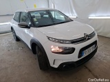 C4 Cactus