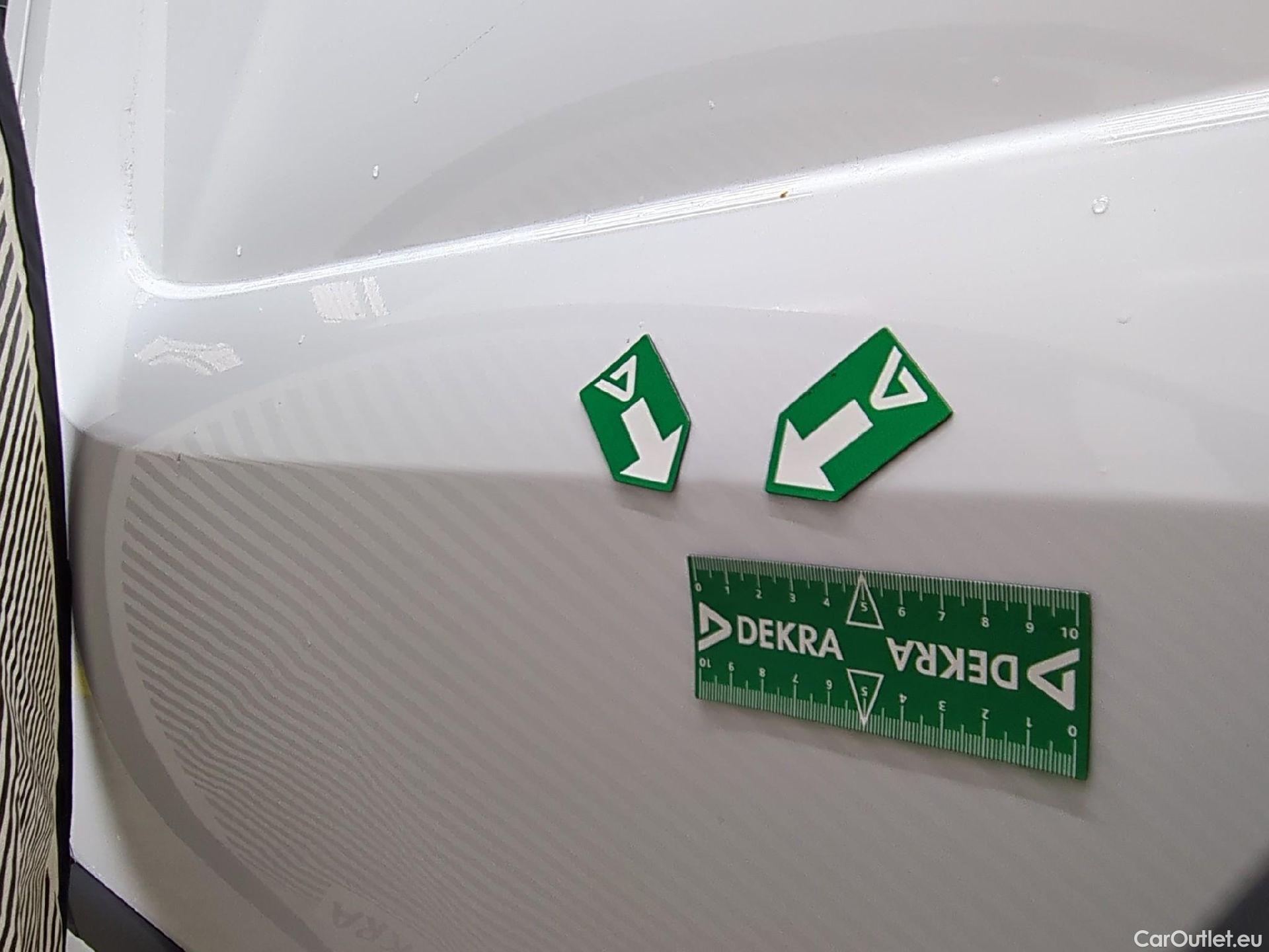  Renault  Kangoo  Express Grand Confort (L1) 1.5 #19