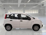  Fiat  Panda FIAT  / 2011 / 5P / BERLINA 1.2 69CV SeS E6D-TEMP EASY #7