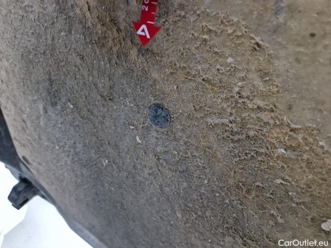  Renault  Master 2.3 Blue dCi 180CP Tractiune L3H2 #39