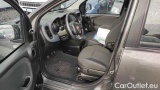  Fiat  Panda 1.0 FireFly 70cv S&S Hybrid #7