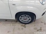  Fiat  Panda FIAT  / 2011 / 5P / BERLINA 1.0 70CV SeS HYBRID #50