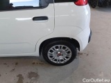  Fiat  Panda FIAT  / 2011 / 5P / BERLINA 1.0 70CV SeS HYBRID #54