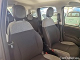  Fiat  Panda FIAT  / 2011 / 5P / BERLINA 1.0 FIREFLY 70CV SeS HYBRID #14