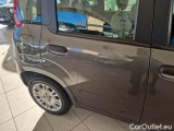  Fiat  Panda FIAT  / 2011 / 5P / BERLINA 1.0 FIREFLY 70CV SeS HYBRID #49