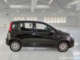  Fiat  Panda FIAT  / 2011 / 5P / BERLINA 1.0 FIREFLY 70CV SeS HYBRID #7
